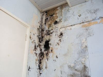 About water damage cleanup - ceiling water damage repair experts in Brookline